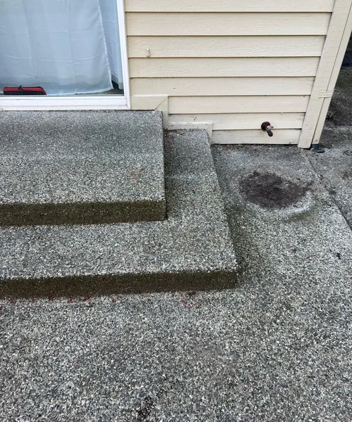 Decorative Stamped Concrete Patio And Walkway in Renton 